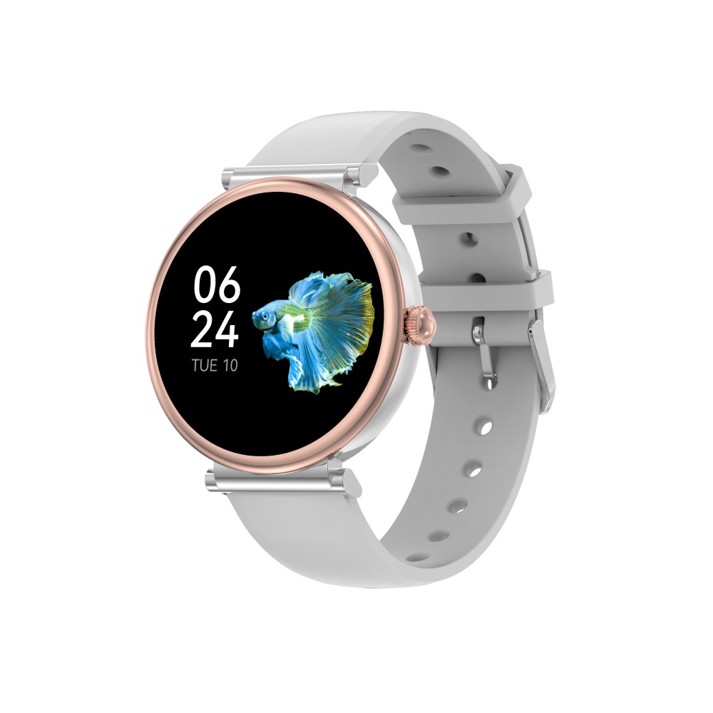 DTNO 1 DT109 Smart Watch Silver