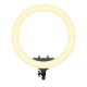 Rixus RXLG28 Ring Light 36W 19 Inch