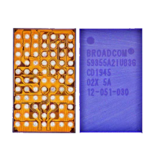 Integrated Circuit (IC)